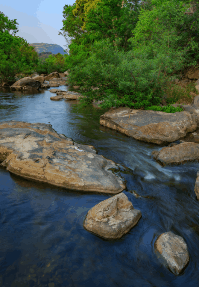 Chinnar Wildlife Sanctuary